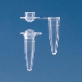 PCR tube, 0.2 mL, dome cap, neutral