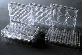 96 Well Cell Culture Plate, Flat, TC, Sterile 1/pk, 100/cs