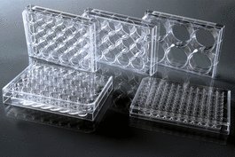 24 Well Cell Culture Plate, Flat Bottom, TC, Sterile, Bulk, 10/pk, 50/cs