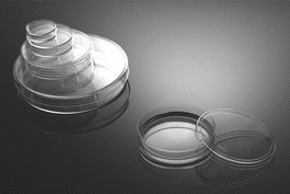 100 mm Cell Culture Dish, with Gripping Ring, TC, Sterile 20/bag, 300/cs
