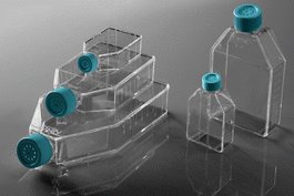 225 cm2 Cell Culture Flask, Plug Seal Cap, TC, sterile 5/pk, 25/cs