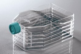 5-Layer Cell Culture Flask, Plug Seal Cap, Straight Neck, TC, Sterile 1/pk, 8/cs