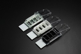 Nest Cell Culture Chamber Slides, 2 Well with Glass Slide, Black, 4.55 cm2, 1.2-2.5 mL, 6/pk, 12/cs