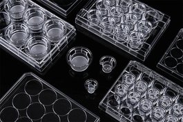 12 Cell Culture Inserts 12 Well Plate, 0.4 um, PC Membrane, Non-Treated, Sterile, 12/pk, 120/cs