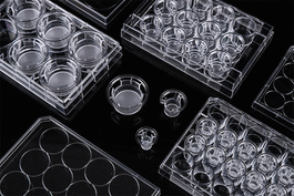 12 Cell Culture Inserts 24 Well Plate, 1 um, PET Membrane, Non-Treated, Sterile, 12/pk, 120/cs