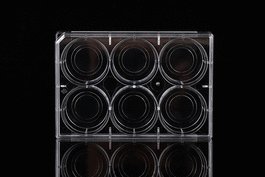 Glass Bottom Cell Culture Dish, 15 mm,TC, Sterile 10/pk, 200/cs