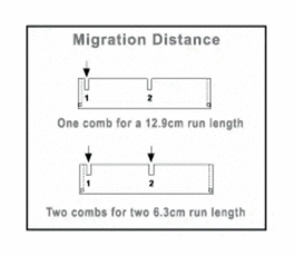 Owl B2 Multi Load 25 Well Comb, 1.0mm