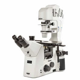 Delphi-X Inverso Inverted Tricnocular Microscope