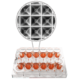 Heidolph Sphericalplate 5D - 24 Well