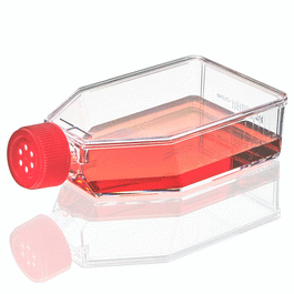 Diamond SureGro Cell Culture Flask, Tissue Culture Treated, 75cm2, Vent Cap, Sterile, 5/Bag, 100/Case