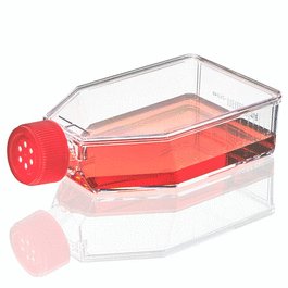 Diamond SureGro Cell Culture Flask, Tissue Culture Treated, 25cm2, Plug Cap, Sterile, 10/Bag, 200/Case