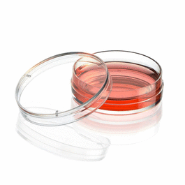 Diamond SureGro Cell Culture Dish, Tissue Culture Treated, 100 x 15mm with Gripping Ring, Sterile, 10/Bag, 500/Case