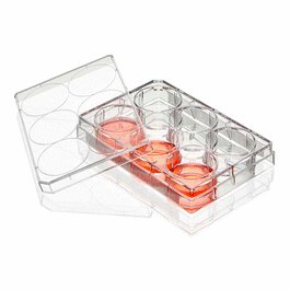 Diamond SureGro Multiple Well Plate, 12 Well, Flat Bottom, Non-treated, Sterile, Individually Wrapped