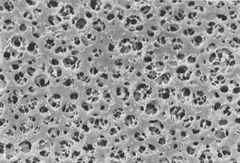 CA Membrane 0.2um 142mm