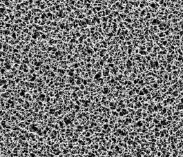 CN Membrane 0.45um 293mm