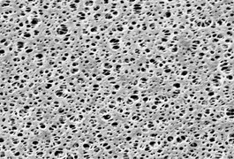 PES Membrane_ 0.1um_ 47mm_ 100pk