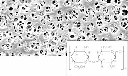 RCMembran_0,45um_25mm_100pc