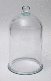 5X9 GLASS BELL JAR WITH KNOB