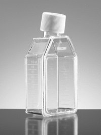 Falcon 25cm2 Rectangular Canted Neck Cell Culture Flask with Vented Cap