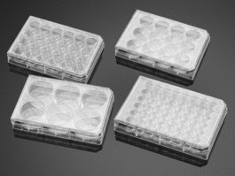 Falcon 6 Well Clear Flat Bottom, Not Tissue Culture Treated Multiwell Plate with Lid, Sterile, Individually Packaged, 50/Case