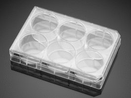 Corning(R) Primaria(TM) 24 Well Flat Bottom Surface Modified Multiwell Cell Culture Plate, with Lid, Ind. Wrapped, S, 50/Cs