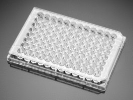 Falcon 96 Well Cell Culture Plate, Clear, Flat Bottom, Tissue Culture Treated, Sterile