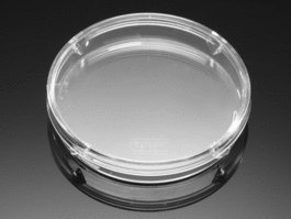Falcon(R) 100mmx15mm Not TC-Treated Bacteriological Petri Dish, 20/Pack, 500/Case, Sterile
