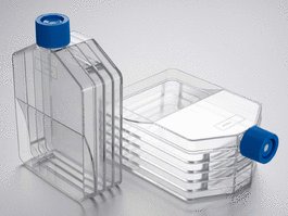 Falcon 875cm2 Rectangular Straight Neck Cell Culture Multi-Flask, 5-layer with Vented Cap