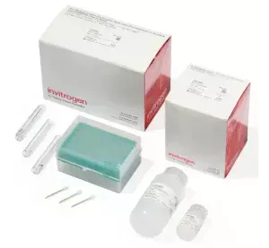 Invitrogen™ Neon™ Transfection System 100 ?L Kit