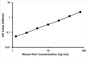 Mouse Paraoxonase 1 ELISA Kit (PON1)