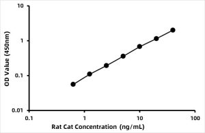 Rat Catalase (CAT) ELISA Kit