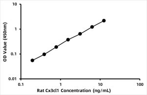 Rat Fractalkine (FK) ELISA Kit