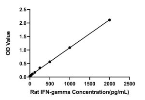 Rat IFN-gamma FAST ELISA Kit