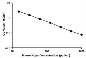 Mouse Atrial Natriuretic Peptide (ANP) ELISA Kit