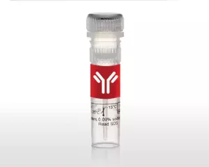 GibcoHuman EGF Recombinant Protein X