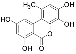 4-Hydroxy Alternariol