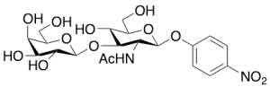 p-Nitrophenyl 2-Acetamido-2-deoxy-3-O-(Beta-D-galactopyranosyl)-Beta-D-glucopyranoside