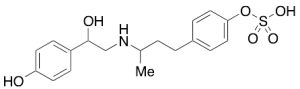 Ractopamine-10-sulfate