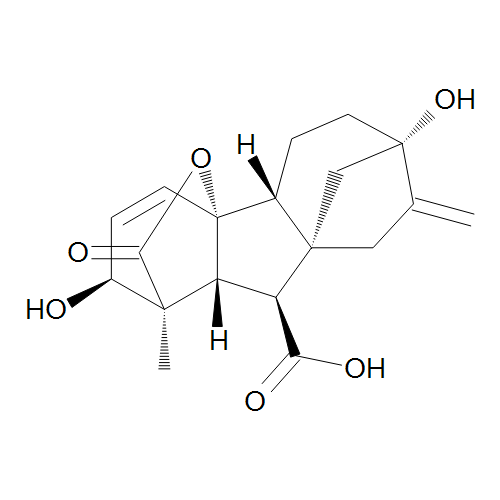 Gibberellic Acid, 90%