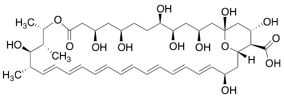Amphoteronolide B (>80%)