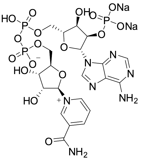 Disodium NADP (~90%)