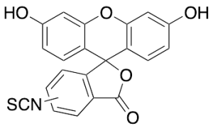 Fluorescein Isothiocyanate (>85%)
