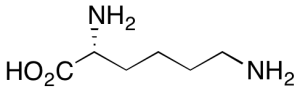 D-Lysine(>90%)