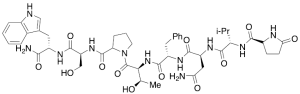 Adipokinetic Hormone (Libellula Auripennis)