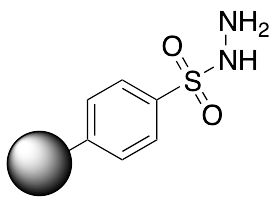 PS-TsNHNH2