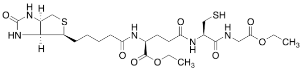 BioGEE