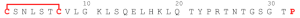 Calcitonin, Salmon