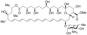 Amphotericin B Methyl Ester (>80%)