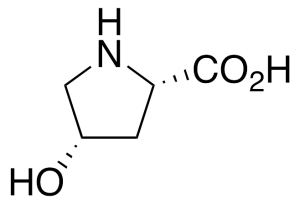cis-4-Hydroxy-L-proline