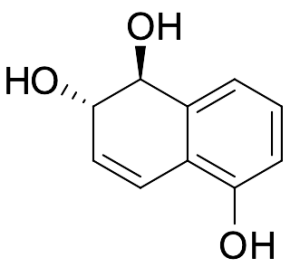 trans-5,6-Dihydrodihydroxynaphthol